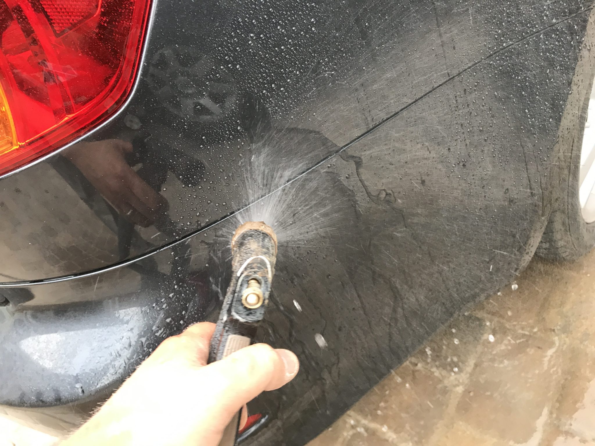 How to Clean Bird Poop from your Car The Track Ahead