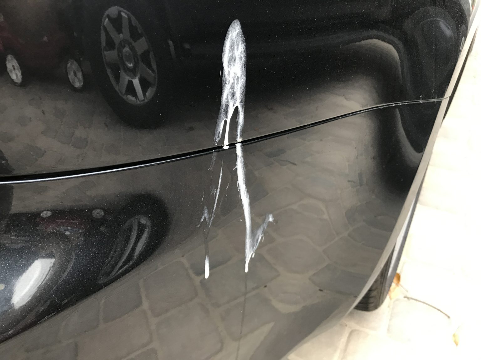 How to Clean Bird Poop from your Car The Track Ahead