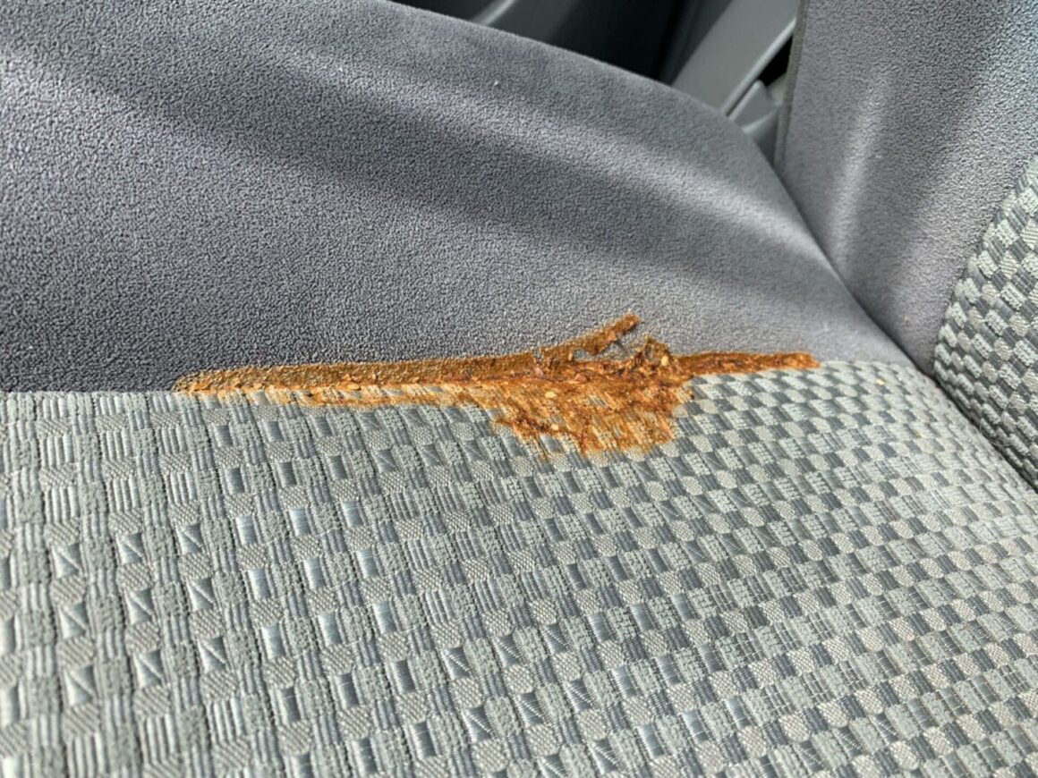 how to get a greasy food stain out of your car seat