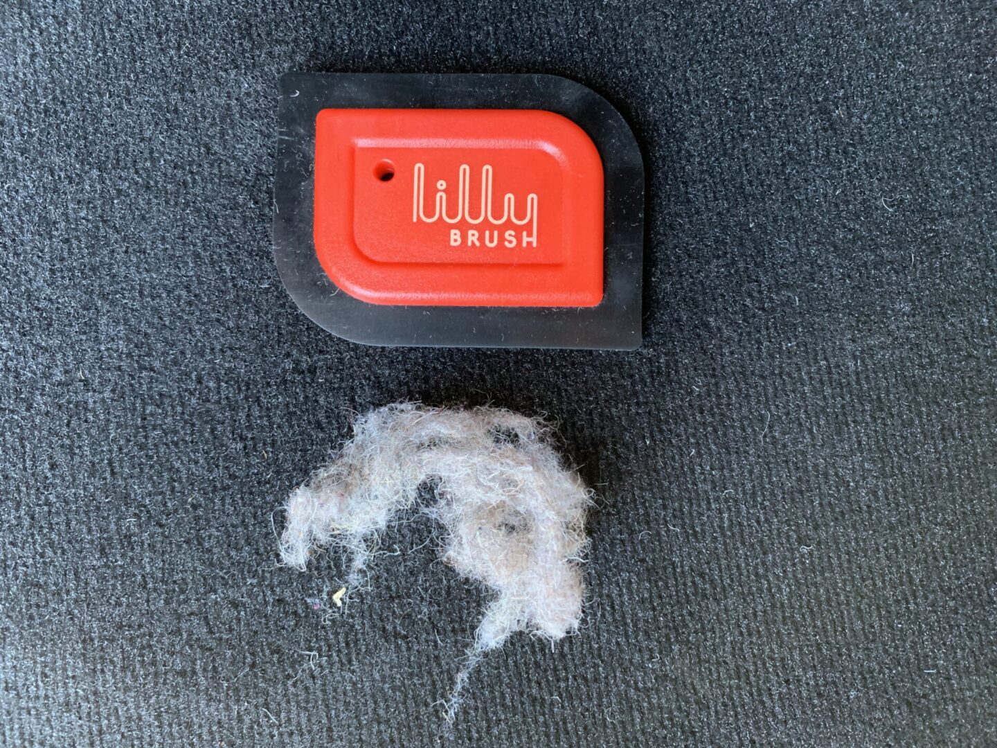 Lilly Brush Pet Hair Remover Review - The Track Ahead