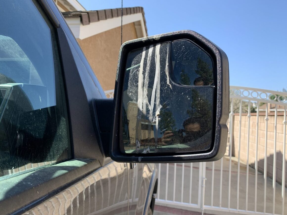 How to Stop Birds from Pooping on (and Pecking at) my Side Mirrors