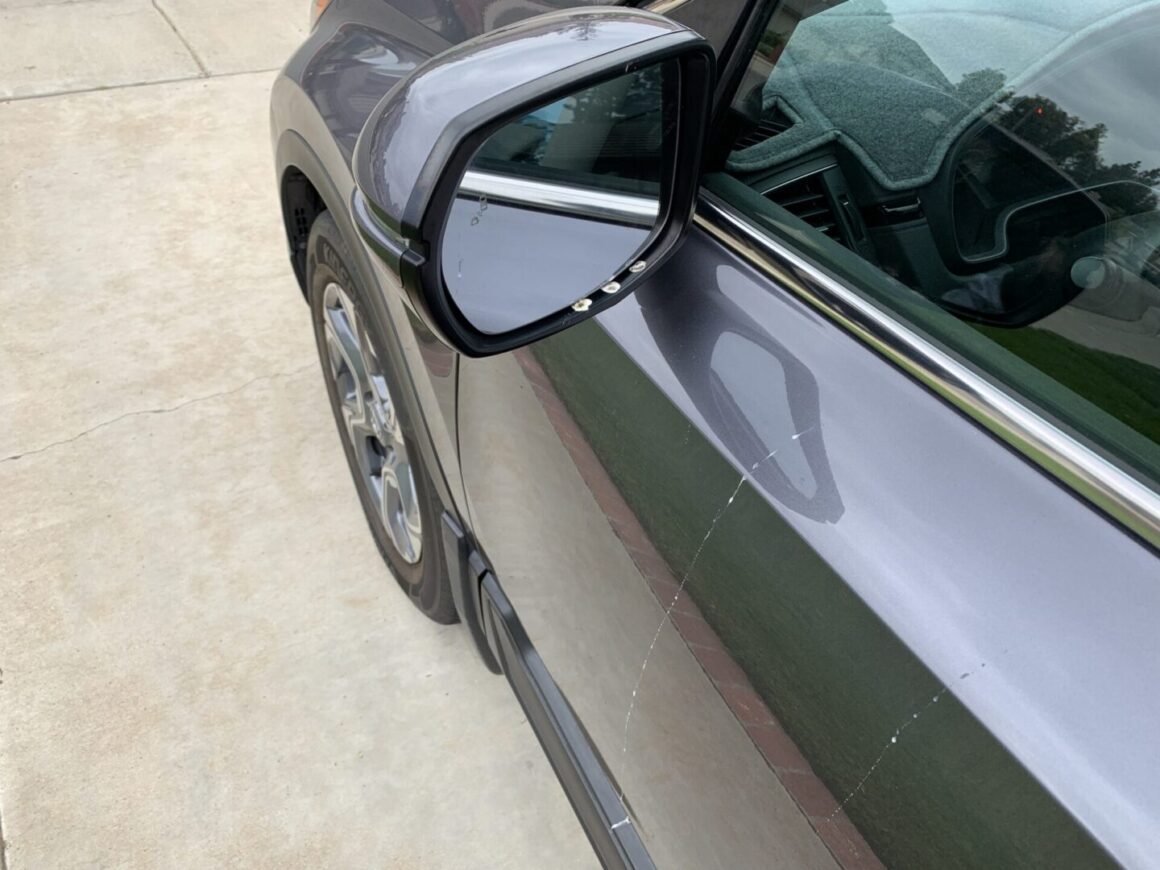 How to Stop Birds from Pooping on (and Pecking at) my Side Mirrors