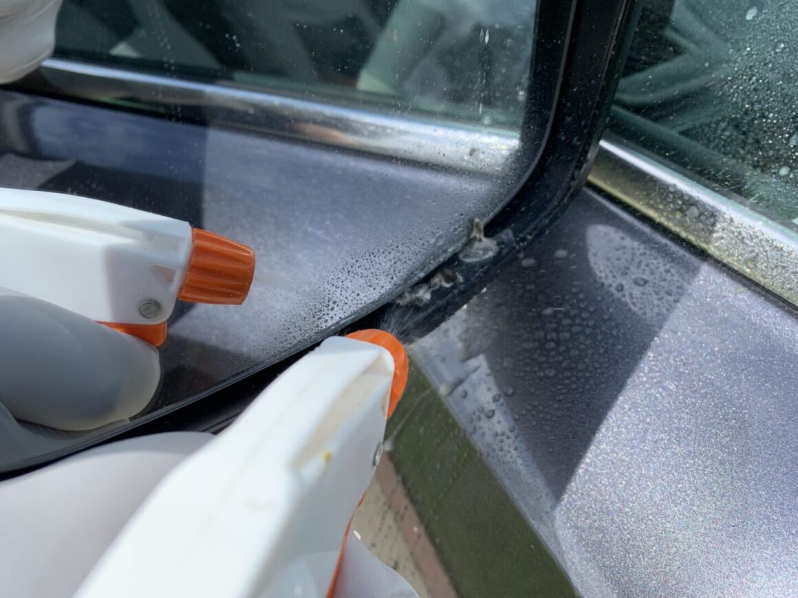 How to Stop Birds from Pooping on (and Pecking at) my Side Mirrors