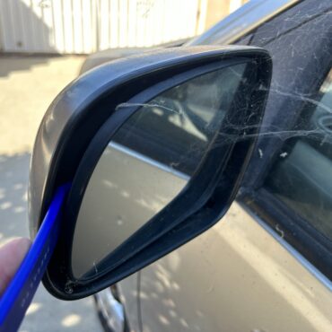 How to Get Rid of Spiders Living in my Side Mirrors?